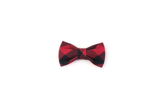 Kitten Bowtie Plaid